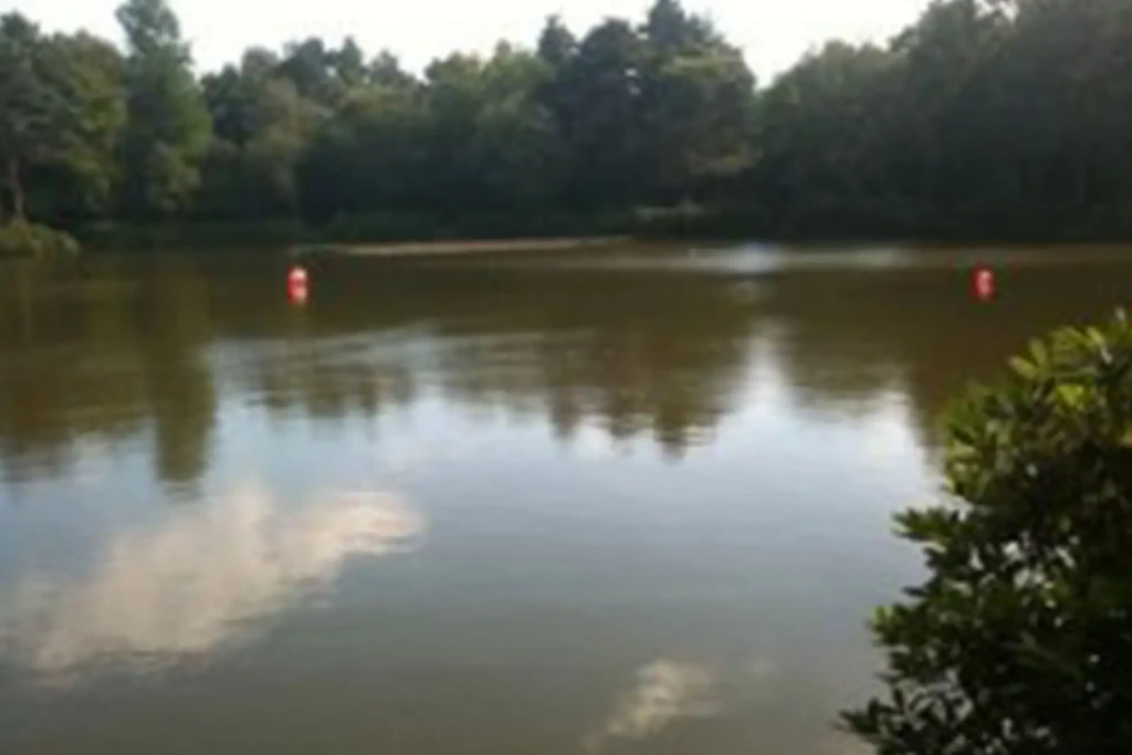 Avon tyrell ringwood and district angling association