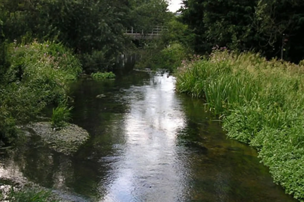 Bickerly millstream 1