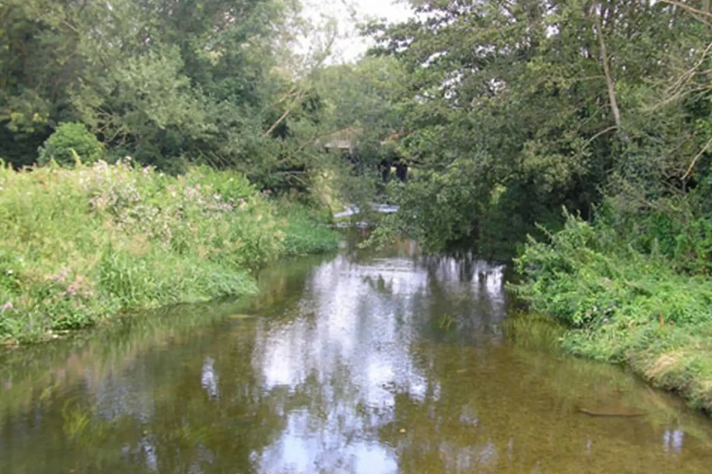 Bickerly millstream 2 1