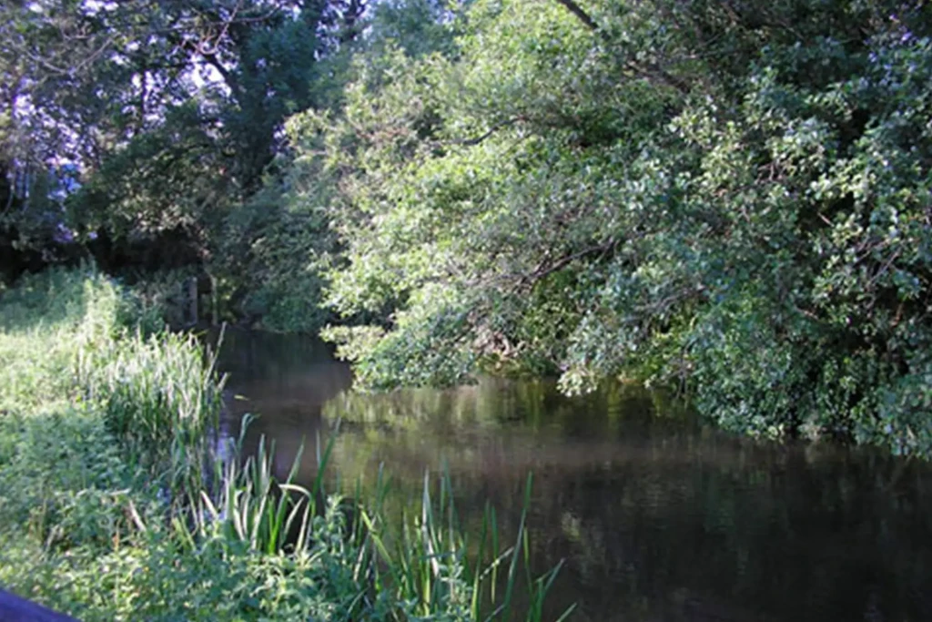Bickerly millstream 4 1