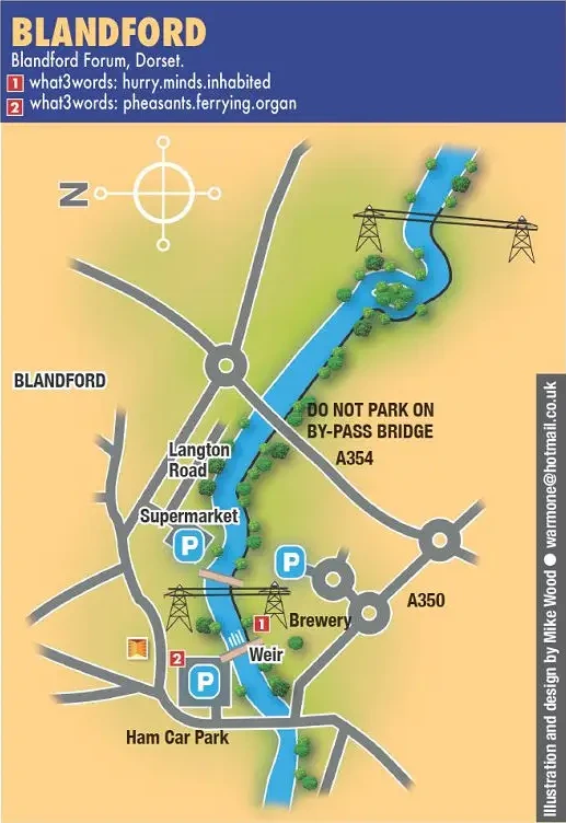 Blandford