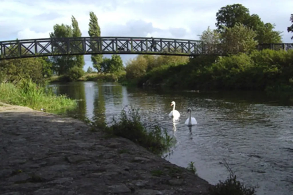 Blandford 2 1