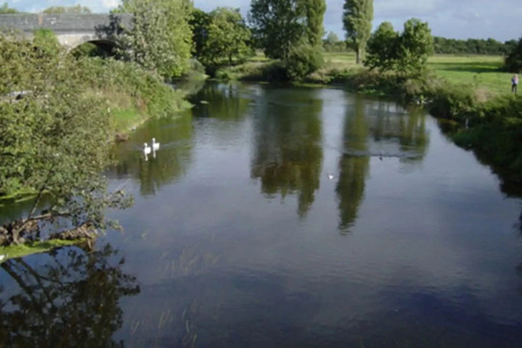 Blandford 4 1