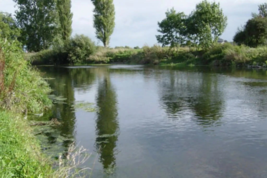 Blandford 5 1