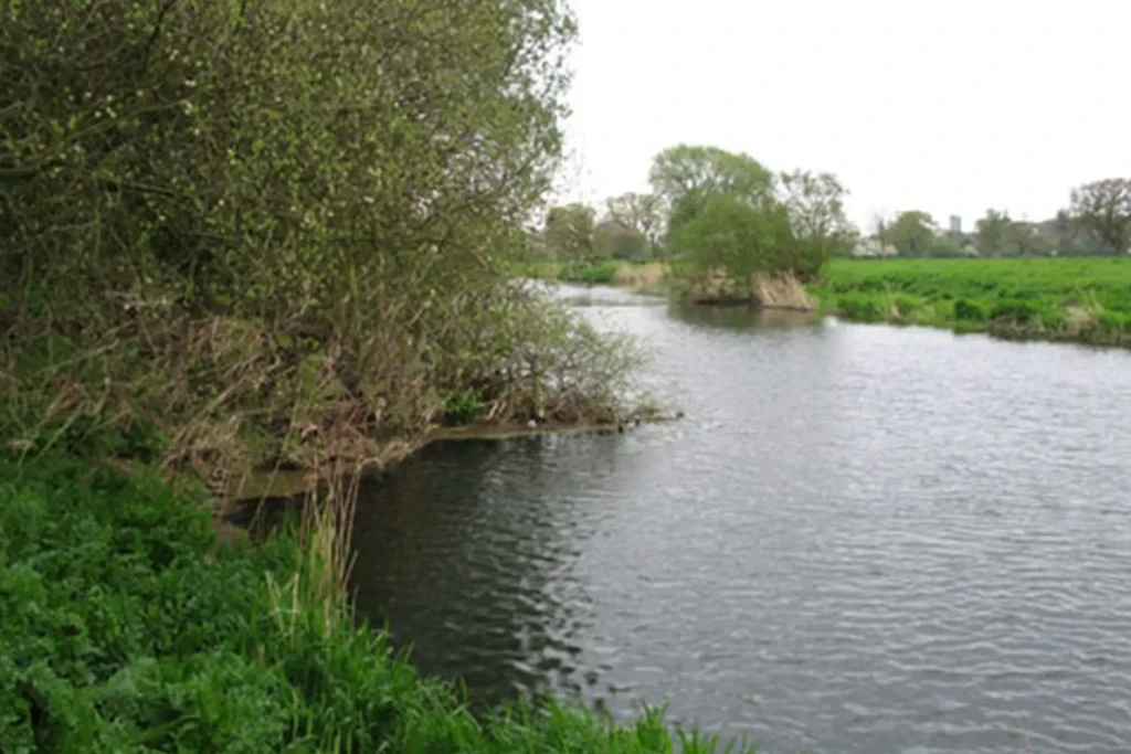 Bounds farm 4 1