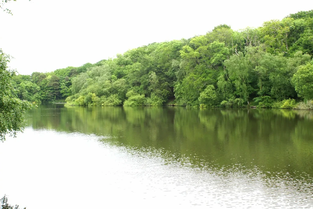 Breach pond 1