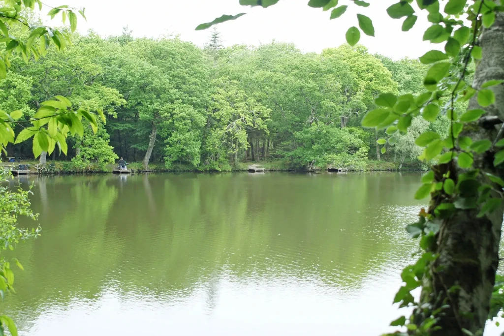 Breach pond 2