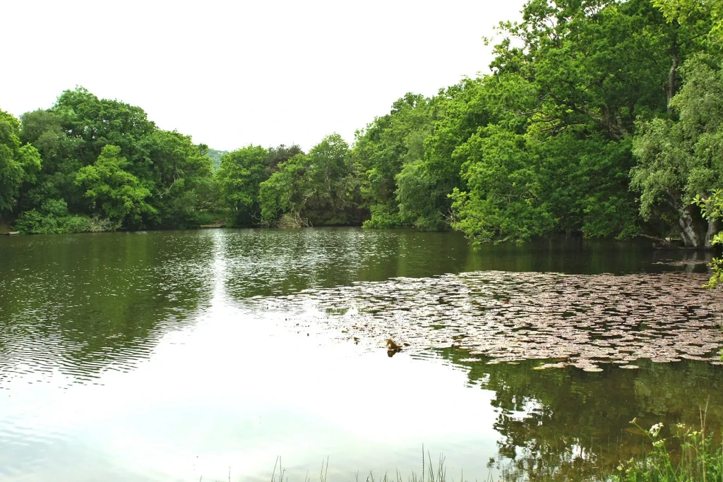 Breach pond 3