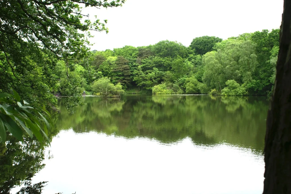 Breach pond 4