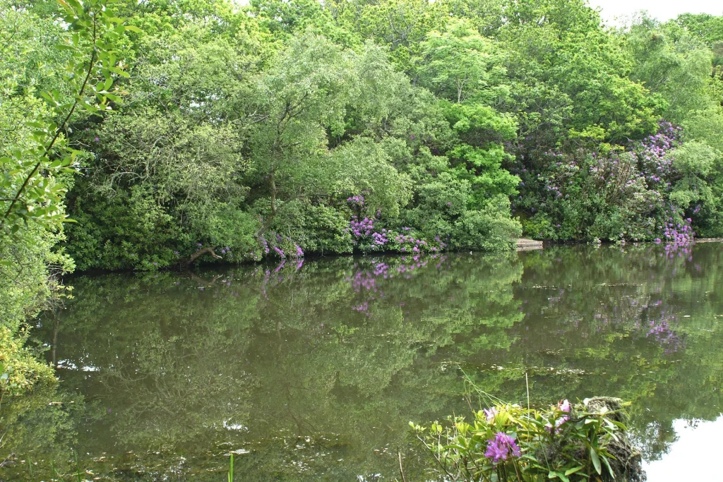 Breach pond 5