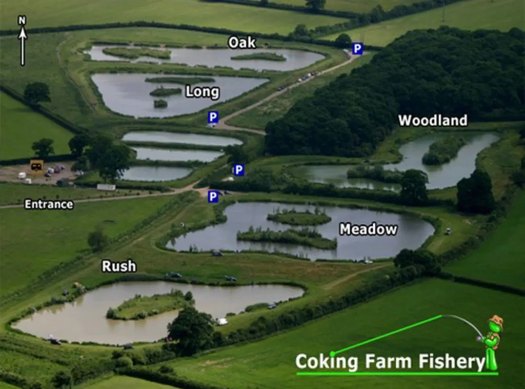 Coking farm fishery 2