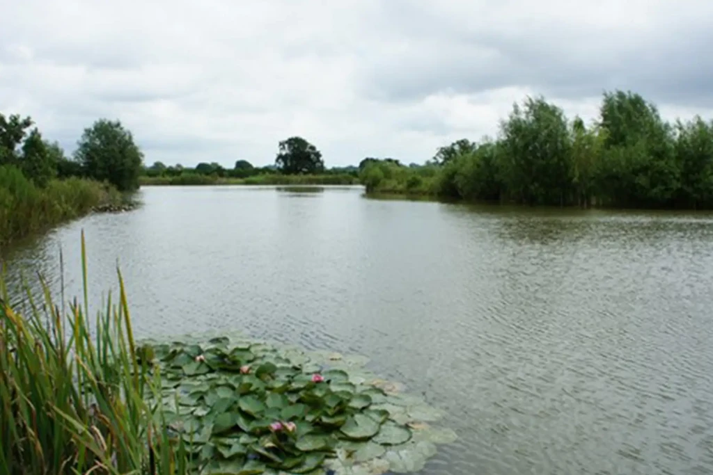 Coking farm fishery 3