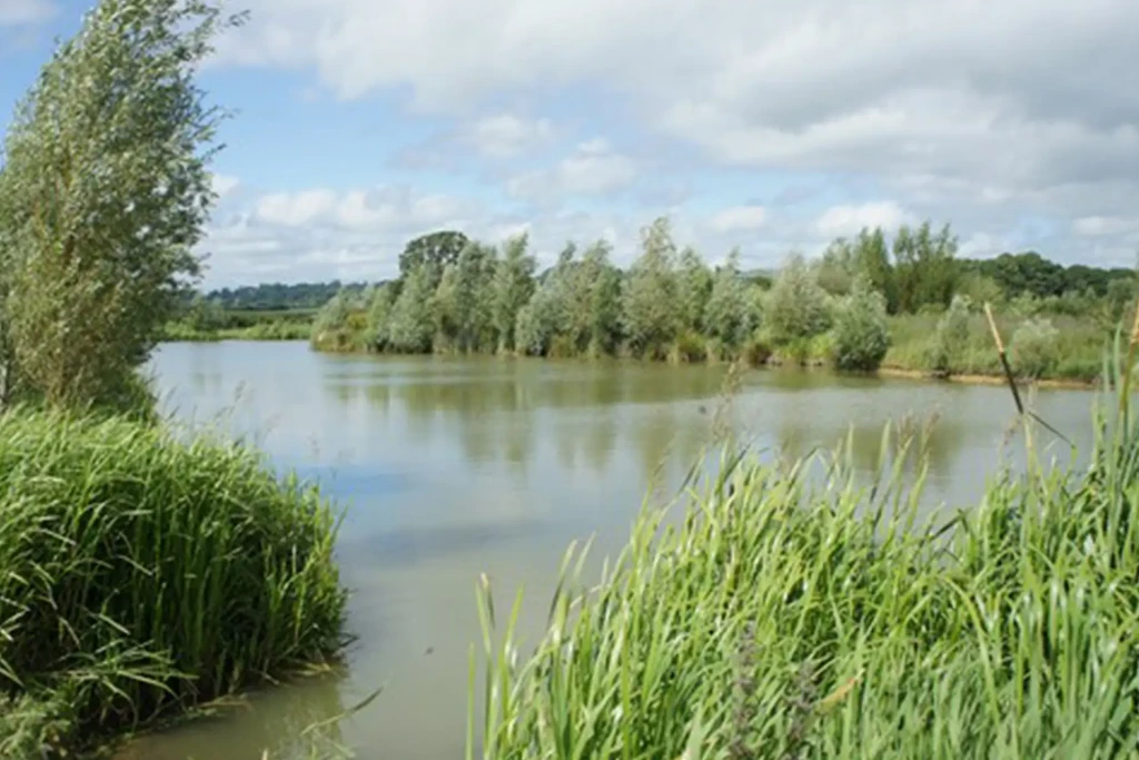 Coking farm fishery 4
