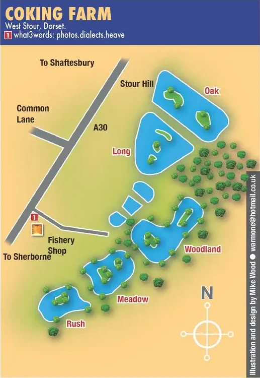 Coking farm fishery