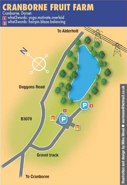 Cranborne lake