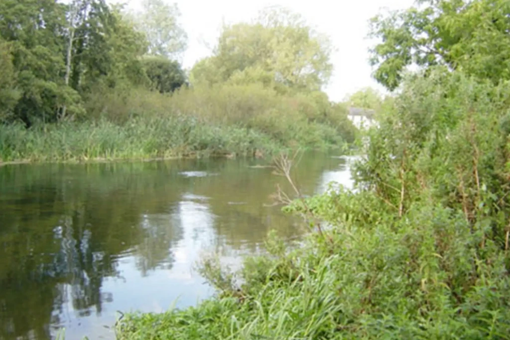 Fordingbridge 2
