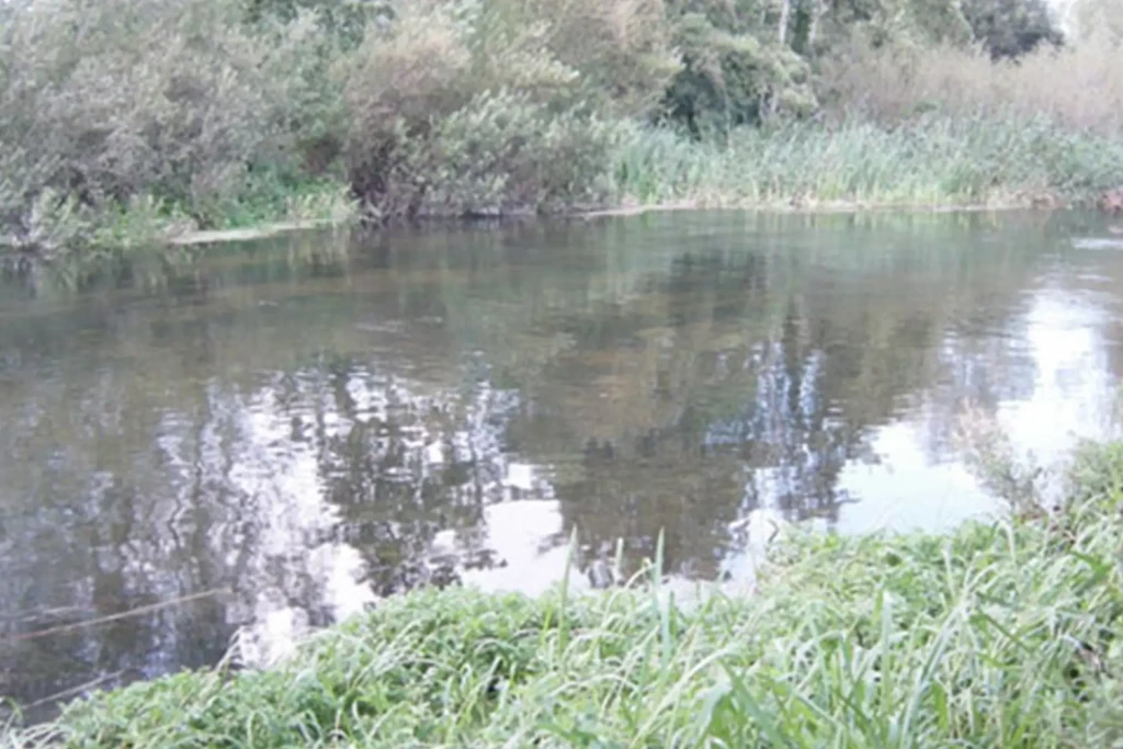 Fordingbridge 3