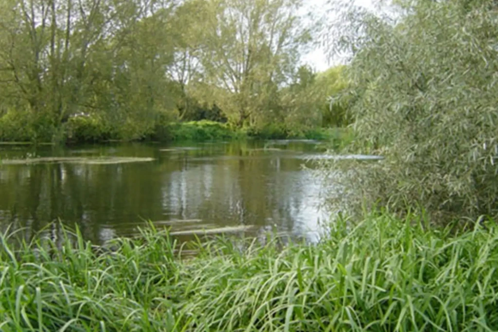 Fordingbridge 4