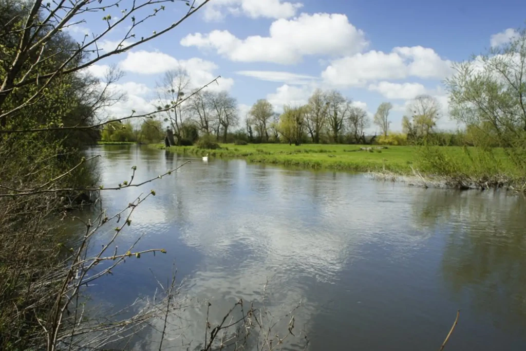 Hale park