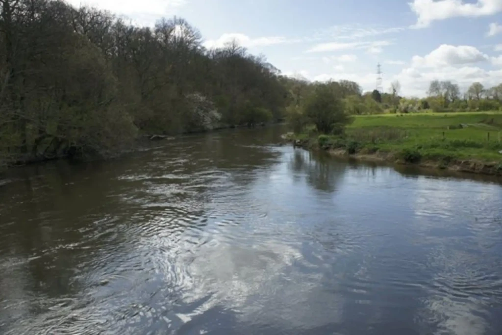 Hale park 2 1