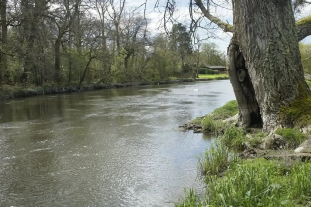 Hale park 4 1