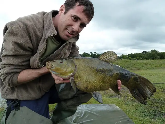 Hatchet pond 22nd june 2011