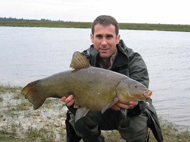 Hatchet pond andrew reynolds