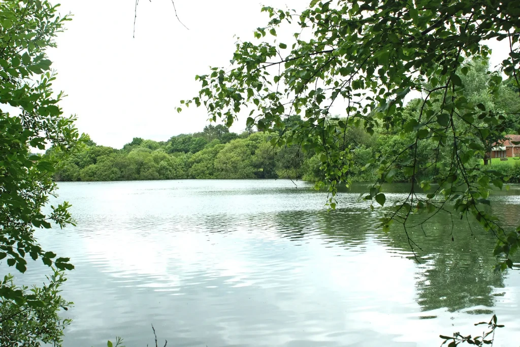 Linbrook 1