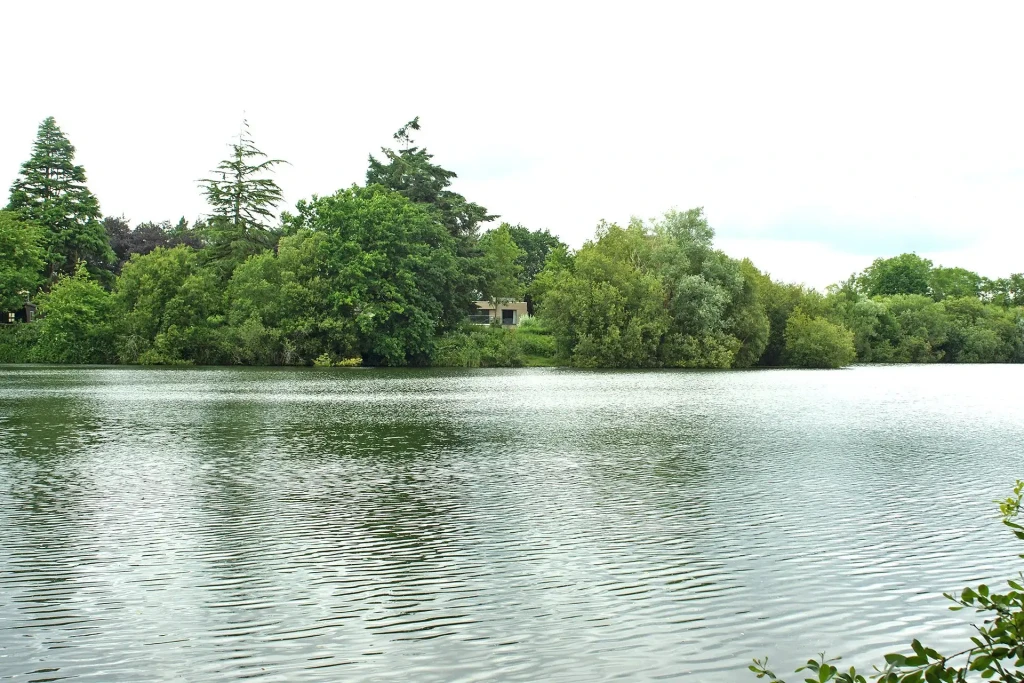 Linwood 4