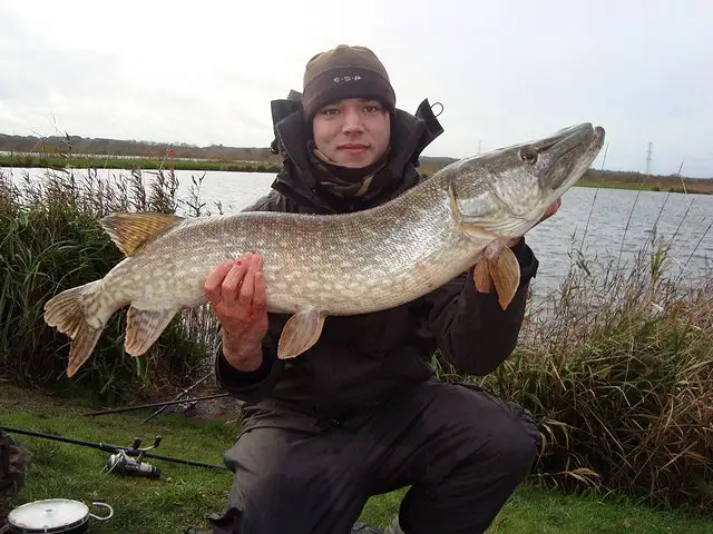 Longham reservoir 4th december 2011