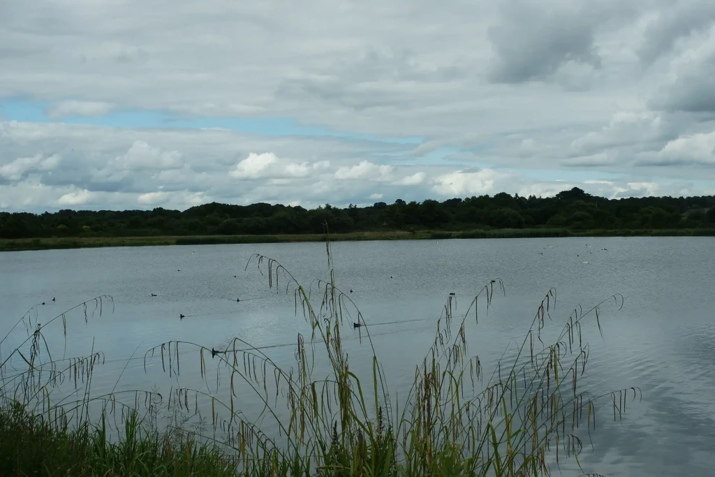 Longham resevoir whitherington farm 7