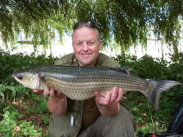 Lower stour 28th july 2010