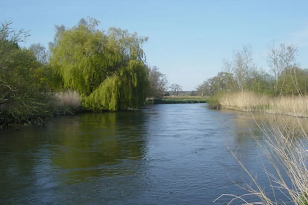 Lower severals and avon castle 2 1
