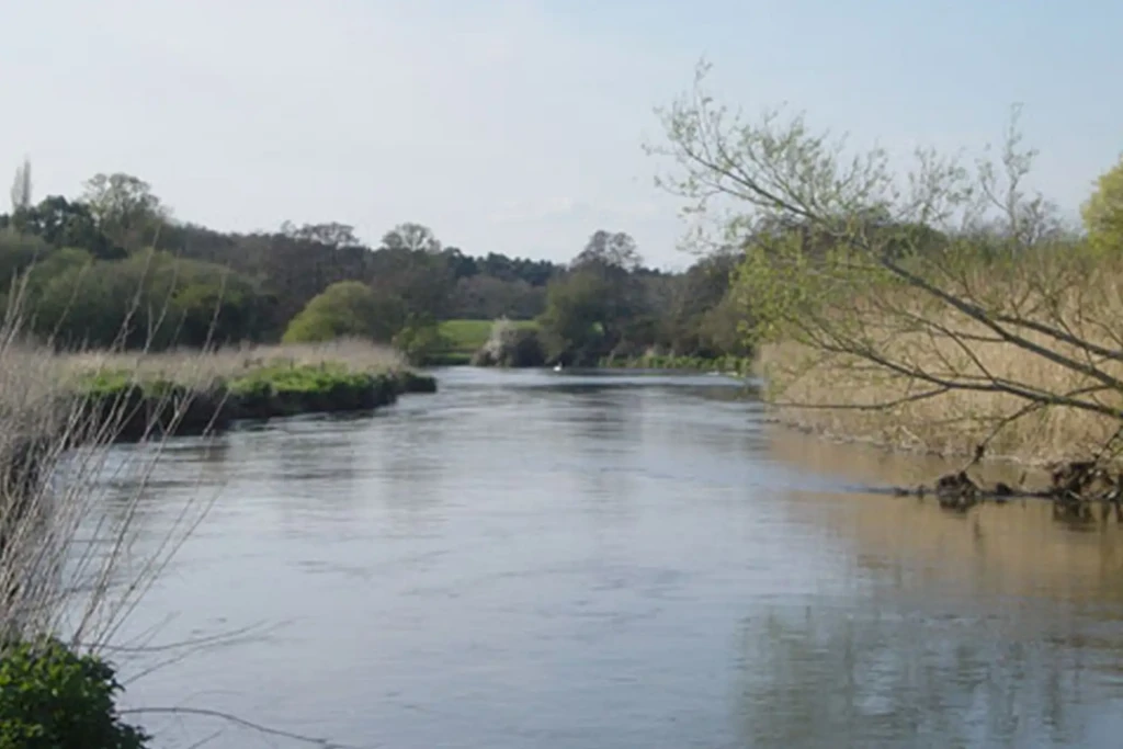 Lower severals and avon castle 3 1