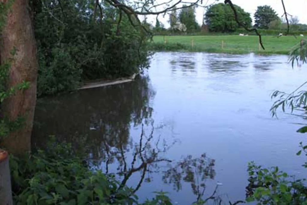 Manor farm hampreston 1