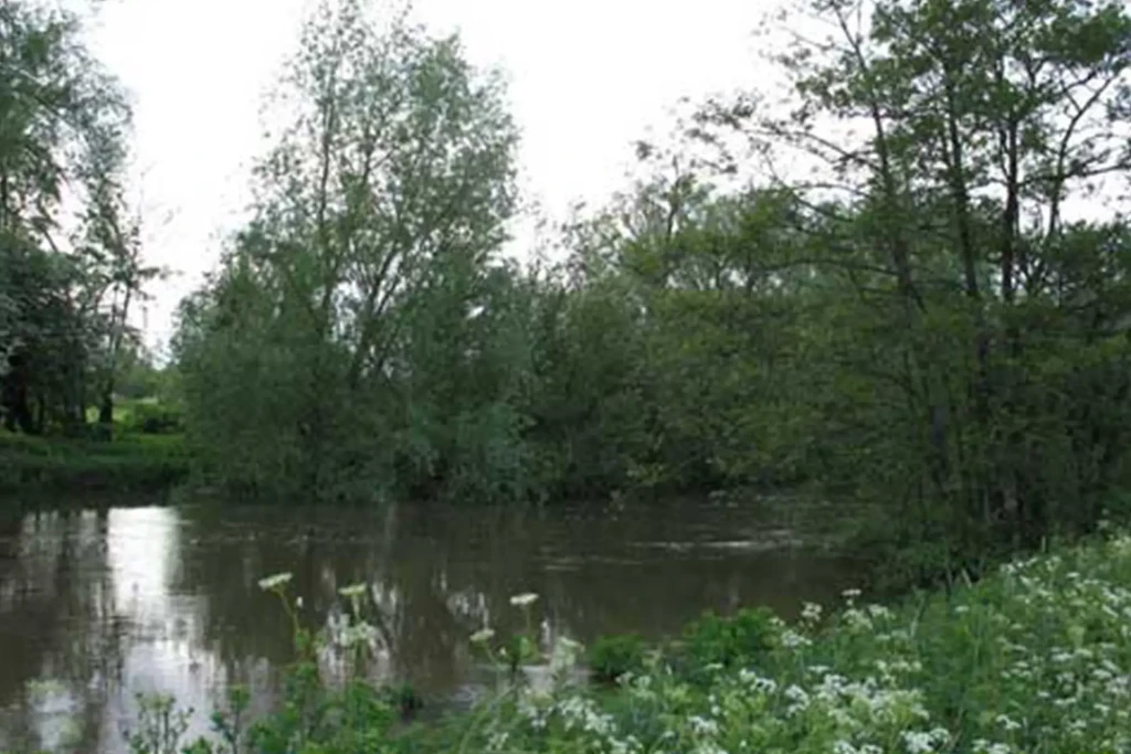 Manor farm hampreston 2