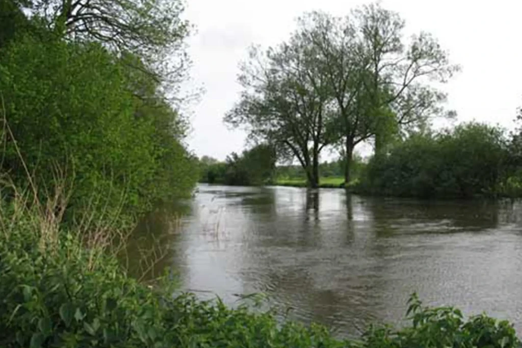 Manor farm hampreston 3