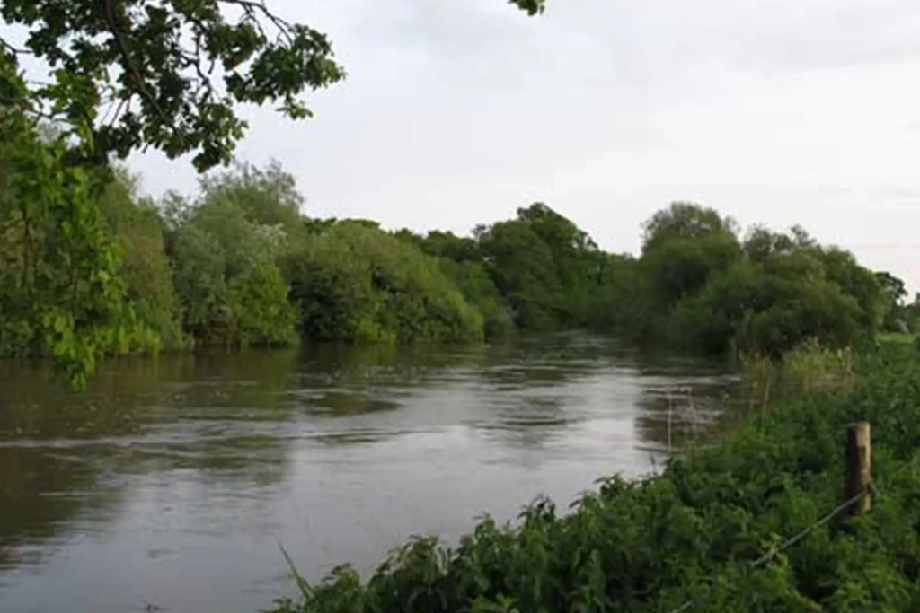 Manor farm hampreston 4