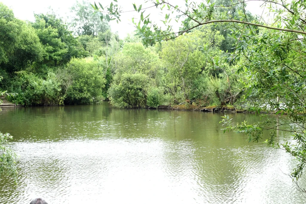 Northfield wash pit 1