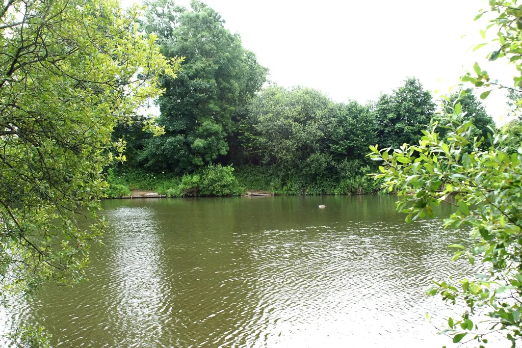 Northfield wash pit 3