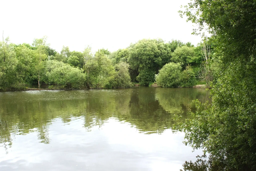Northfield wash pit 4