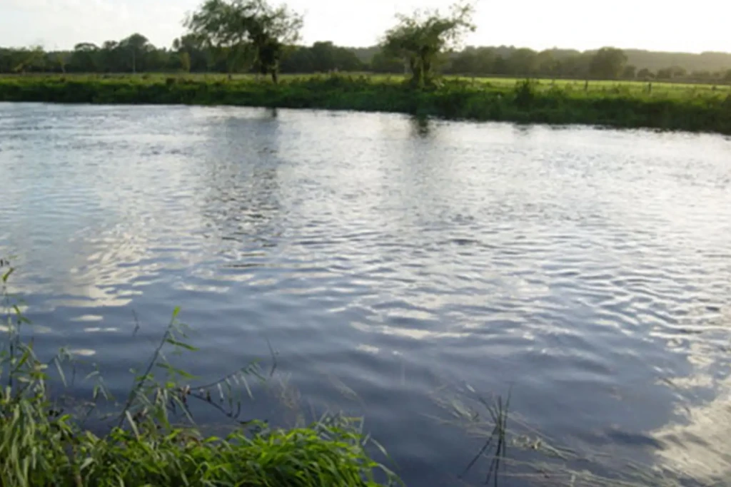 Redbrook