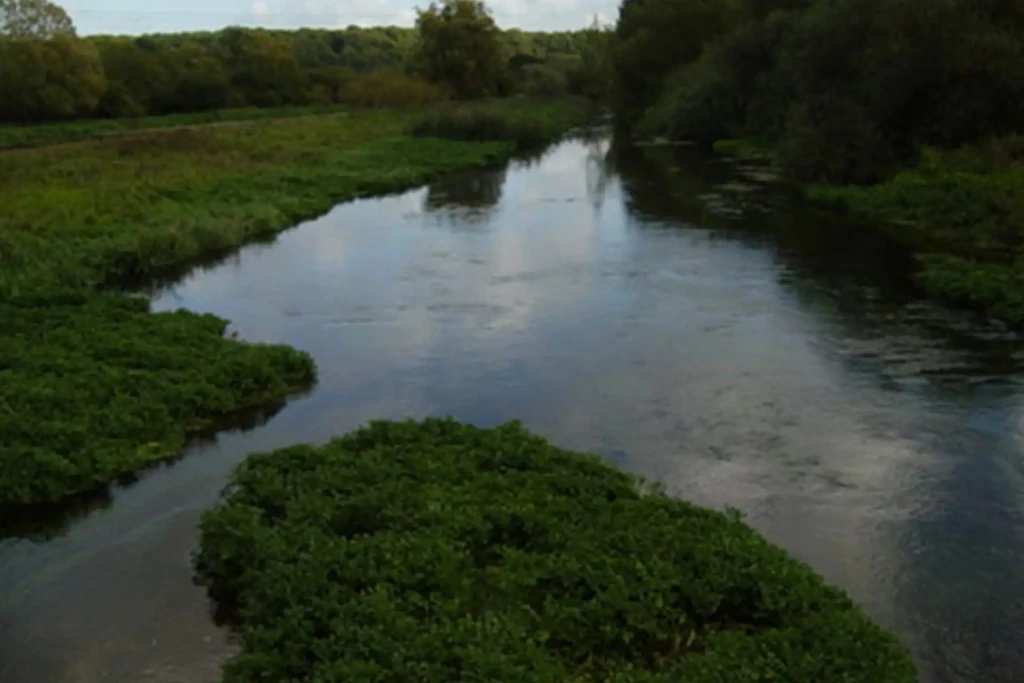 Shallows farm