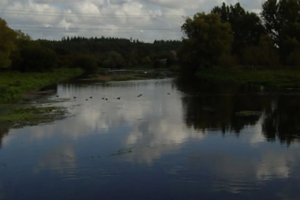 Shallows farm 2 1