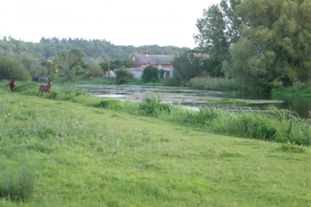 Shallows farm 4 1