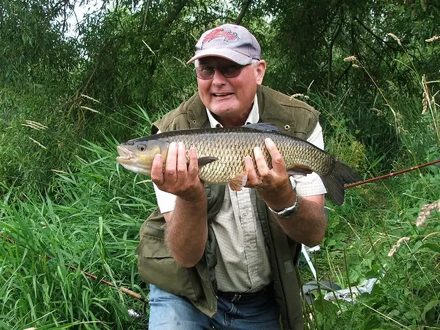 Throop beat 2 13th july 2011
