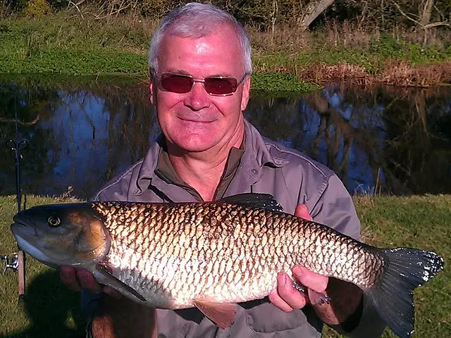 Throop beat 2 28th october 2011