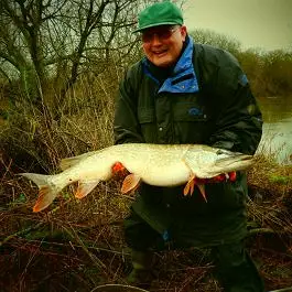 Throop beat 2 5th february 2014